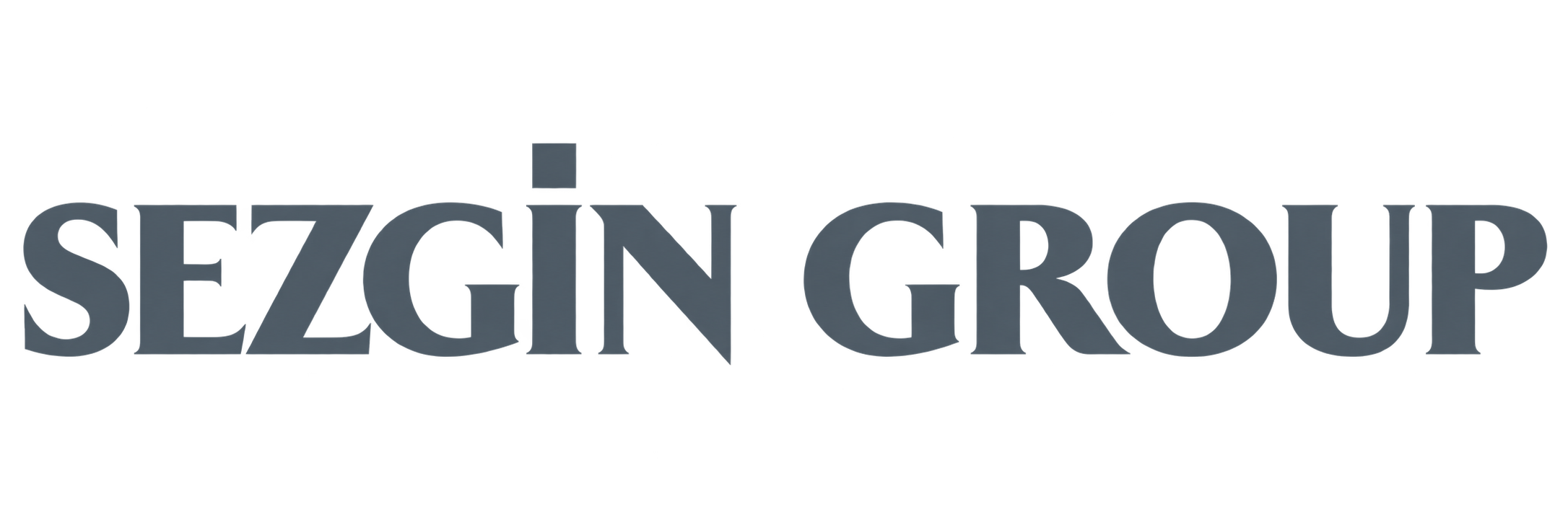 Sezgin Group
